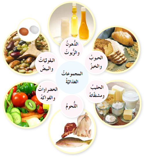المجموعات الغذائية المجموعات الغذائية
